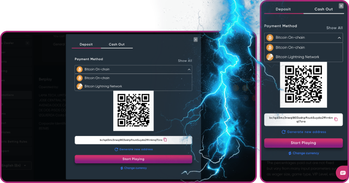 Betplay.io Casino Payment Methods