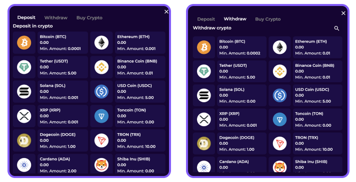 Crashino Casino Payment Methods