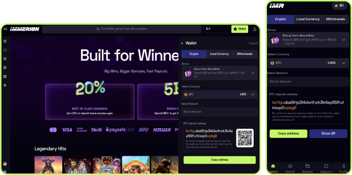 Immerion Casino Payment Methods