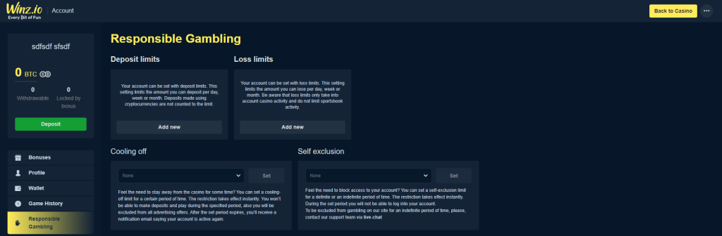 Responsible gambling tools in Bitcoin casinos