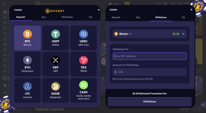 Roobet Crypto Casino Payments Methods