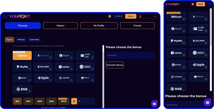WinPort Casino Payment Methods