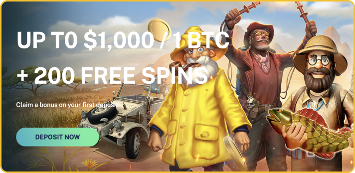 Welcome Bonus at Daily Spins Casino