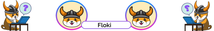 Floki Inu meme crypto coin