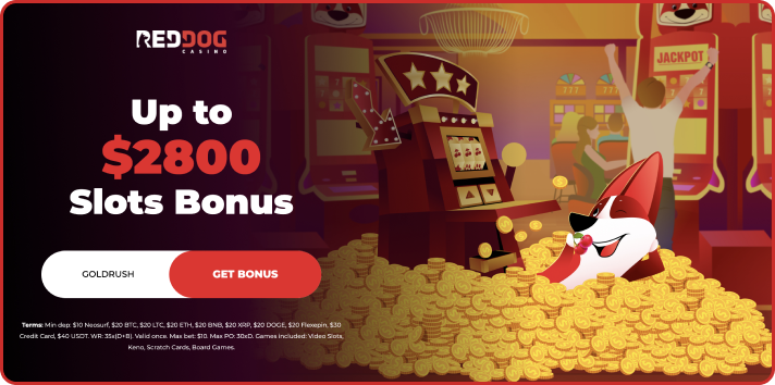 Red Dog Casino Slots Bonus
