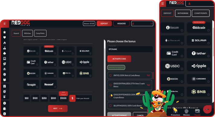 Red Dog Casino Payment Methods