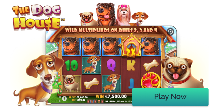 The Dog House slot from Pragmatic Play