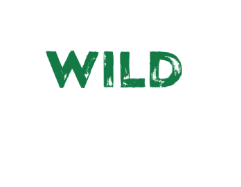 Logo of Wild Casino