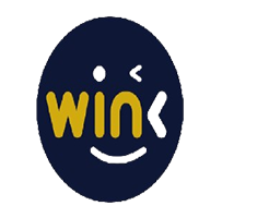 WINk token logo